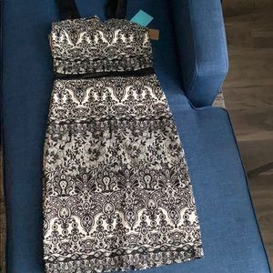 NWT Black and white knee length dress